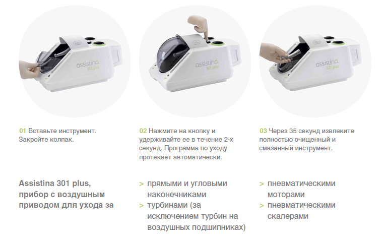 асистина2.jpg
