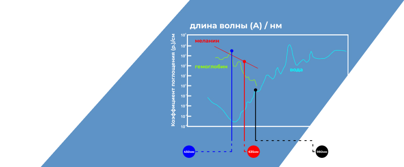 Medency-2.jpg Medency-2.jpg